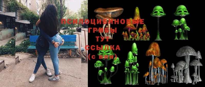 Псилоцибиновые грибы Psilocybe  дарнет шоп  Барабинск 